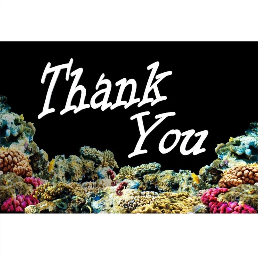 100 2" - 3 1/2" Ocean Coral Reef Cards. PRICE IS FIRM - Picture 2 of 2